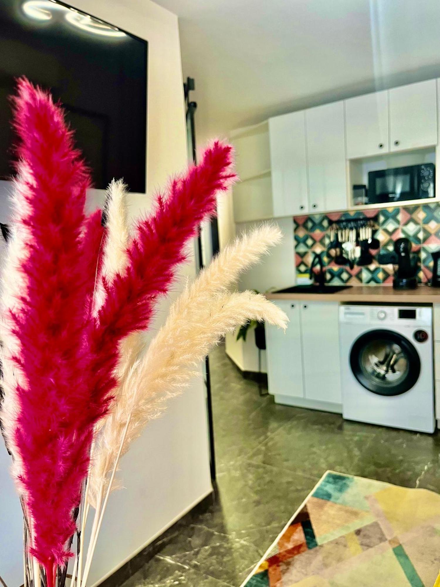 Arte Apartamento Dos Colores Alicante Eksteriør bilde